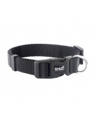 pet collars